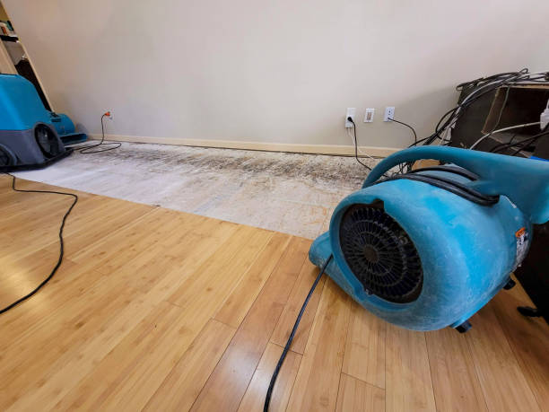 Professional Flood Damage Cleanup technician working in Bethany, IL